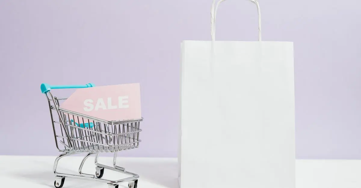 Comment Maximiser Vos Économies lors des Soldes en Ligne